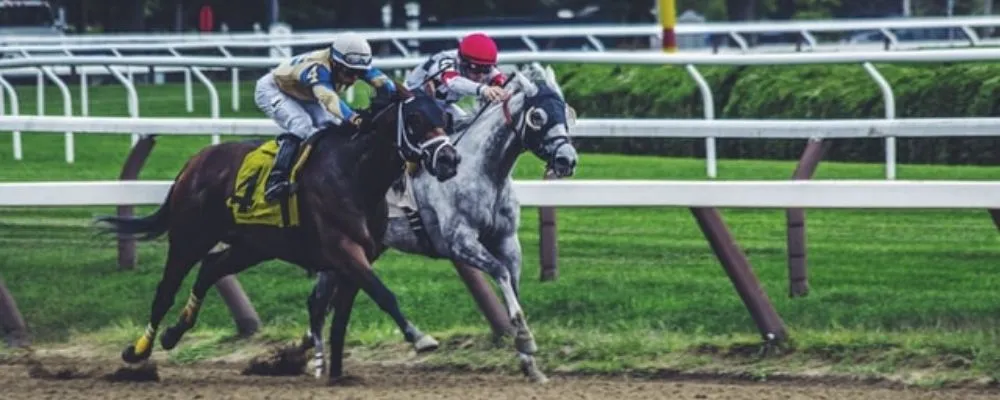 Preakness Stakes: Fans Can Bet Outside The Race track